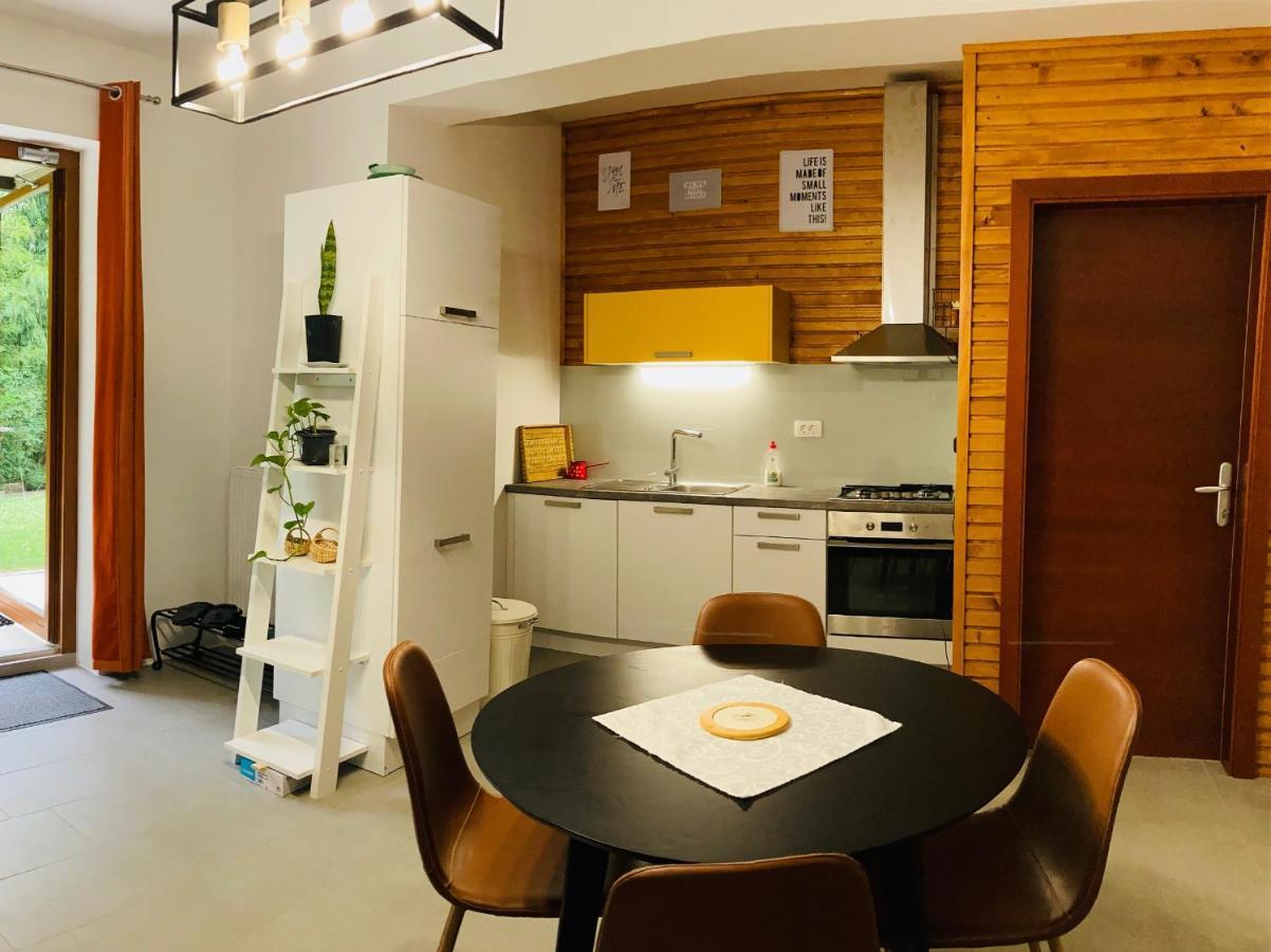 Family House Apartma Мозирье Экстерьер фото